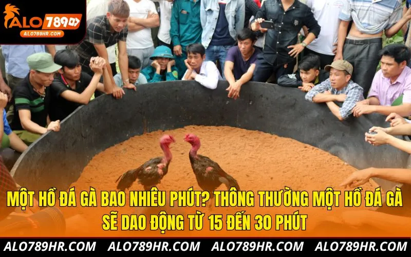 Một hồ đá gà bao nhiêu phút? Thông thường một hồ đá gà sẽ dao động từ 15 đến 30 phút